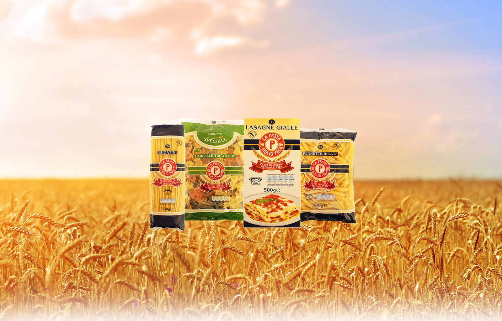 lorem ipsum dolor sit