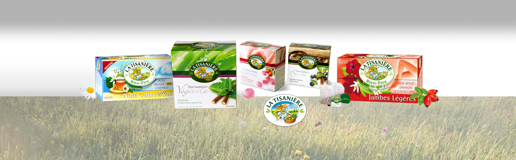 lorem ipsum dolor sit