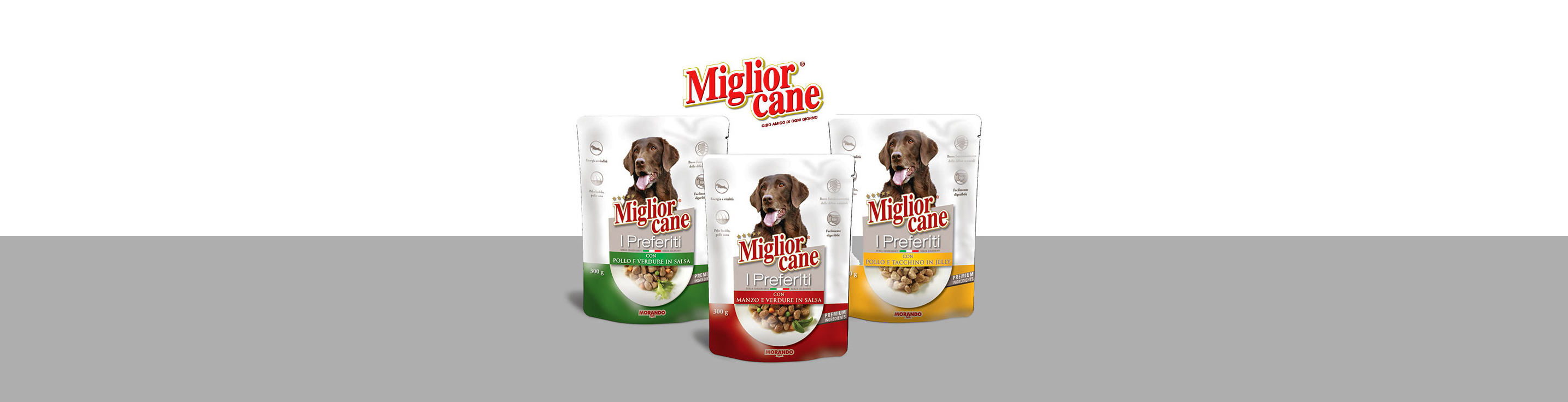 lorem ipsum dolor sit